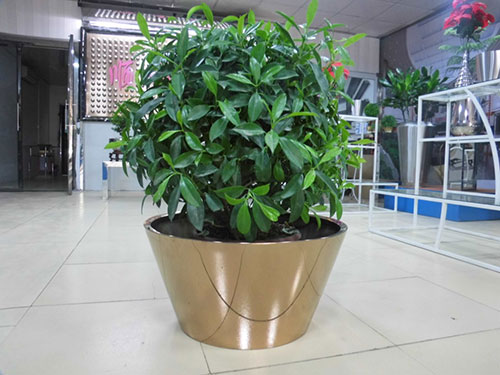 廣東汕頭不銹鋼花盆哪家做的好？