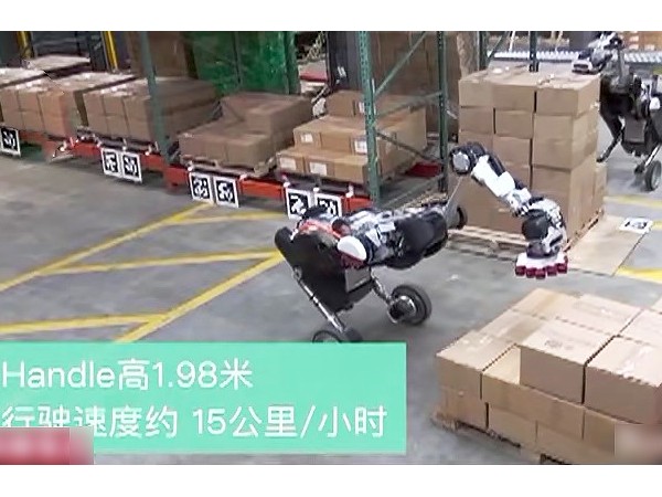 賣了十幾年貨架，天金岡從這幾點教您預防貨架倒塌！